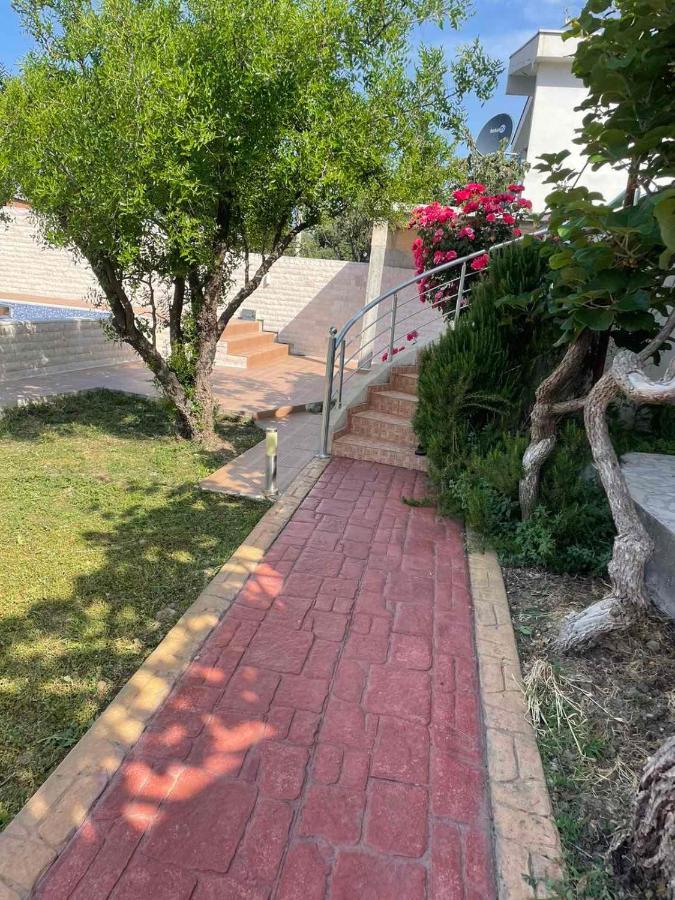Vila Nilic *